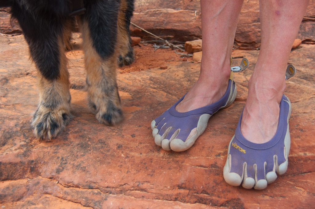 A hiker's feet in trail running shoes standing on a rocky trail next to a dog
