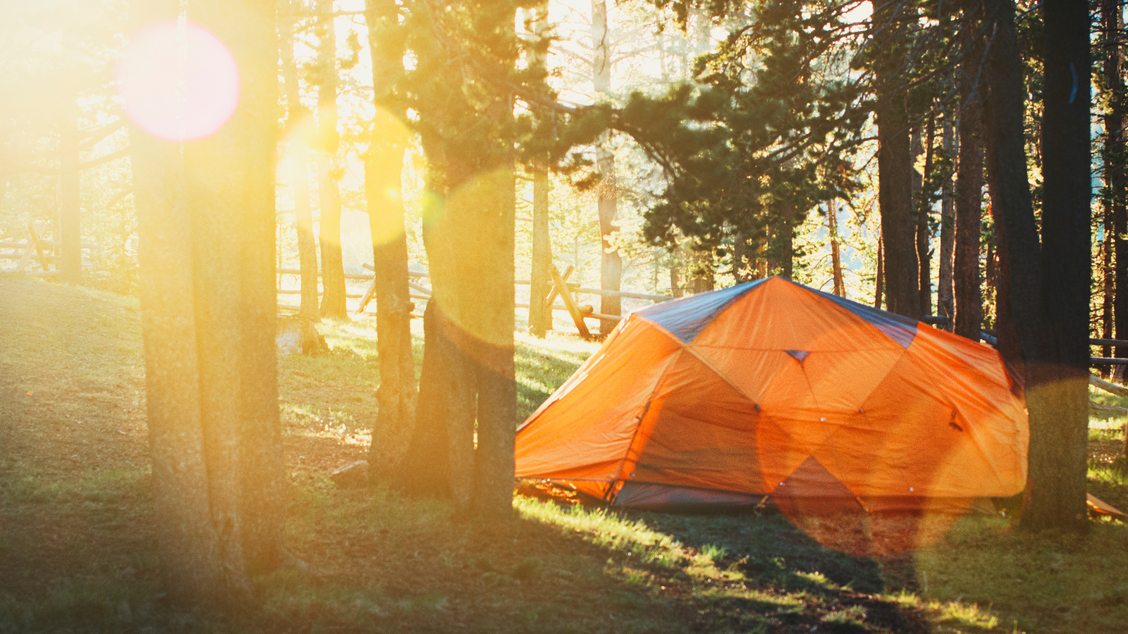 Golden-hour campsite with a family