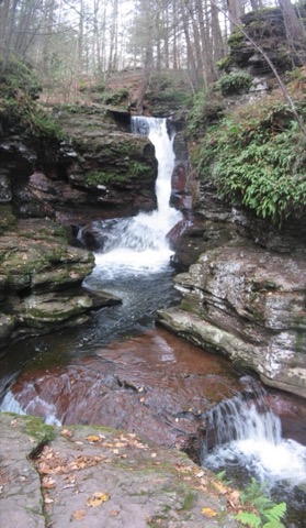 Adams Falls / Evergreen Trail — Ricketts Glen