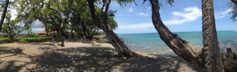 ʻAnaehoʻomalu Beach (A-Bay) — Kohala Coast, Big Island
