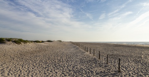 Assateague State Park — Berlin