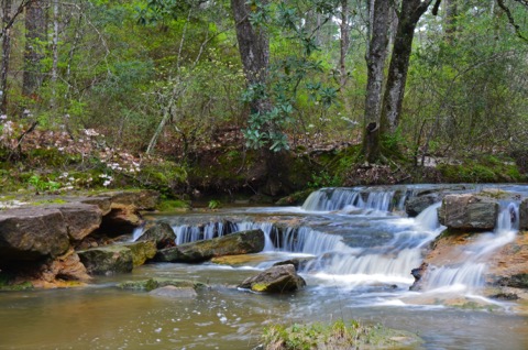 Backbone Trail — Kisatchie Hills Wilderness