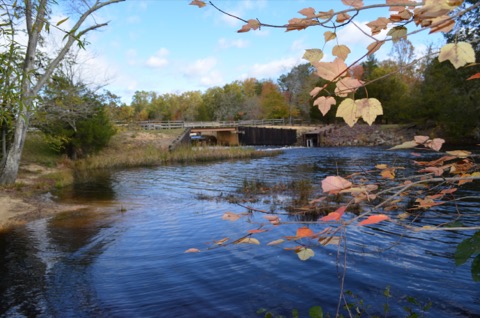 Batsto Lake Trail — Wharton State Forest