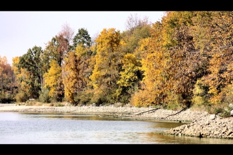 Big Creek State Park — Polk City