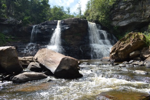 Blackwater Falls State Park Campground — Davis
