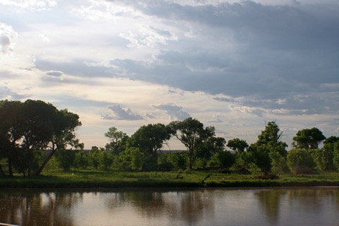 Bosque trails along the Rio Grande — Albuquerque
