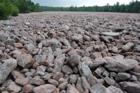Boulder Field Trail — Hickory Run State Park