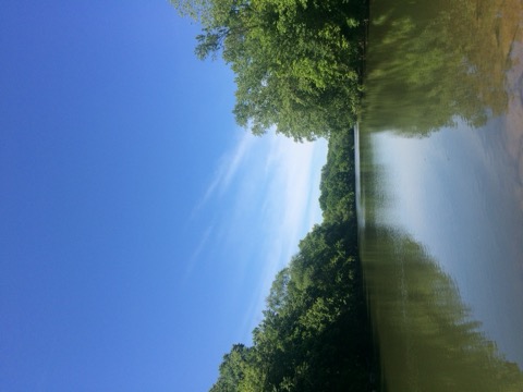 Brandywine Creek State Park — Wilmington