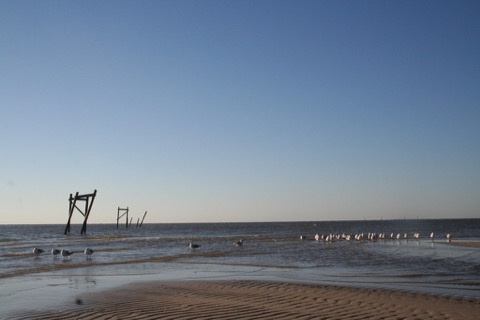 Buccaneer State Park — Waveland