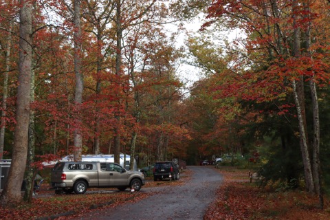 Cades Cove Campground — Great Smoky Mountains National Park