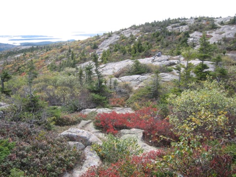 Cadillac Summit Loop — Acadia