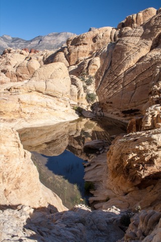 Calico Tanks Trail — Red Rock Canyon National Conservation Area