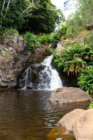 Canyon Trail to Waipoʻo Falls — Waimea Canyon / Kōkeʻe State Park (Kauai)
