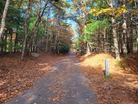 Cape Cod Rail Trail — Dennis to Wellfleet