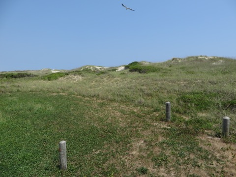 Cape Hatteras / Ocracoke Campgrounds (NPS)