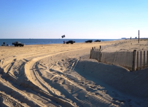 Cape Henlopen State Park — Lewes