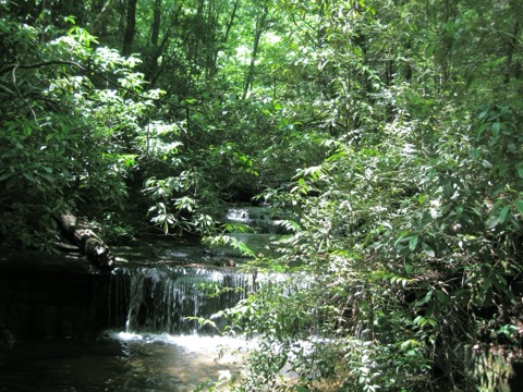 Carrick Creek Nature Loop, Table Rock State Park