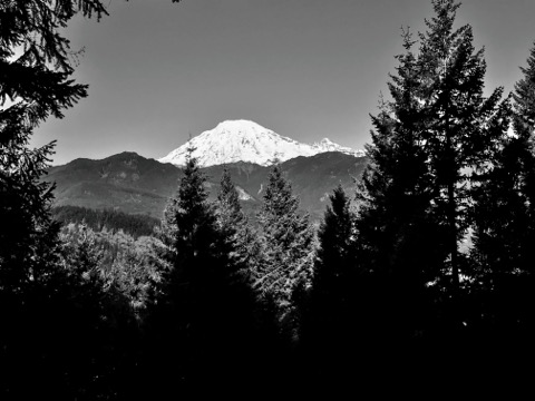 Cascade Peaks Family Campground — Packwood