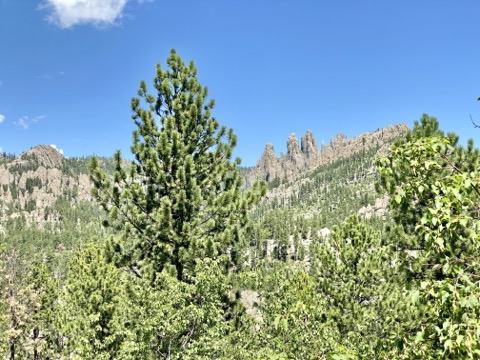 Cathedral Spires — Custer State Park