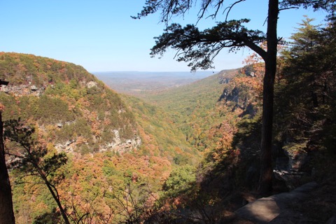 Cloudland Canyon State Park — Rising Fawn