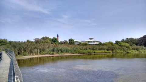 Corolla Beach
