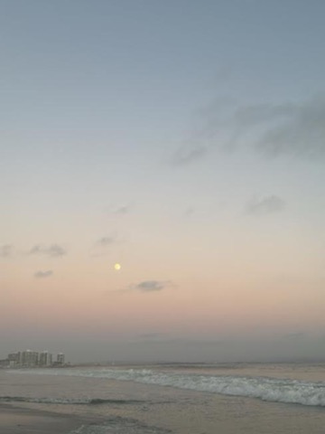 Coronado Beach — San Diego