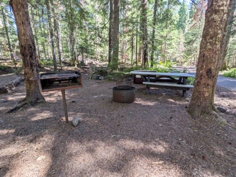 Cougar Rock Campground — Mount Rainier National Park (Paradise side)