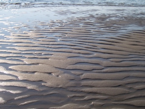 Crane Beach — Ipswich