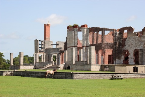 Cumberland Island — Dungeness Loop