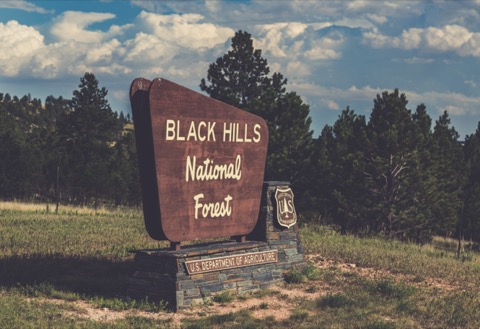 Custer's Gulch RV Park — Custer