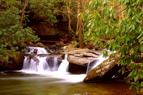 Davidson River Campground, Pisgah National Forest — Brevard