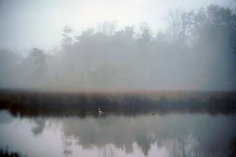 Davis Bayou Campground — Gulf Islands National Seashore (Ocean Springs)