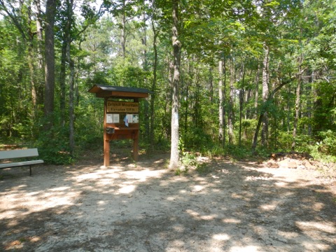 Driskill Mountain Trail — Bienville Parish