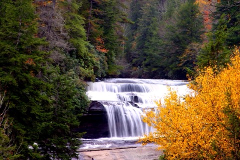DuPont State Forest (High Falls, Triple Falls, Hooker Falls)