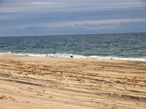 East Beach