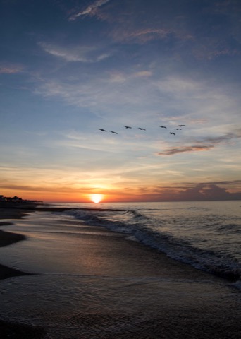 Edisto Beach