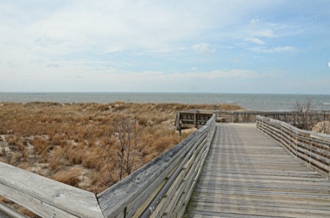 First Landing State Park Beach