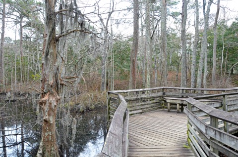 First Landing State Park — Virginia Beach