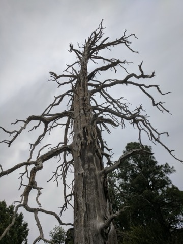 Fool Hollow Lake Recreation Area — Show Low