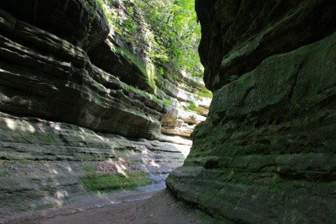 French Canyon / Lover's Leap / Wildcat Canyon Loop — Starved Rock
