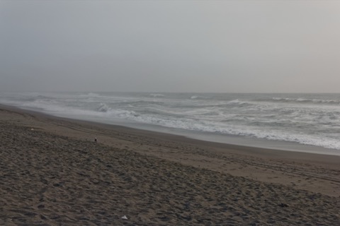Gold Bluffs Beach — Prairie Creek Redwoods State Park