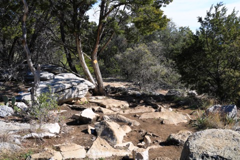 Gorman Falls Trail — Colorado Bend State Park
