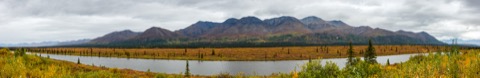 Denali Grizzly Bear Resort — 6 miles south of the park entrance