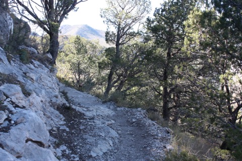 Guadalupe Peak Trail — Guadalupe Mountains National Park