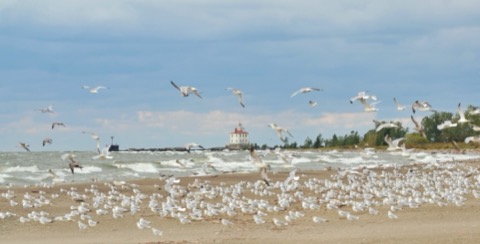 Headlands Beach State Park — Mentor