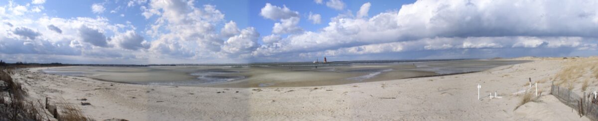 Cape Henlopen Tidal Flat, Delaware