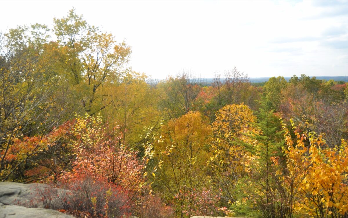 The Ledges, Cuyahoga Valley National Park, Ohio