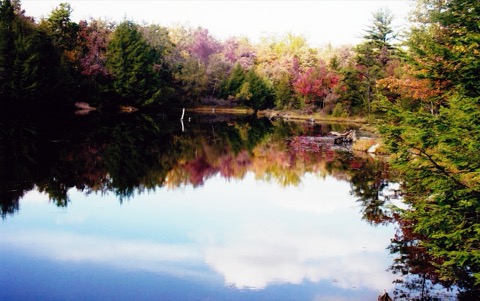 Hickory Run State Park — White Haven (Poconos)