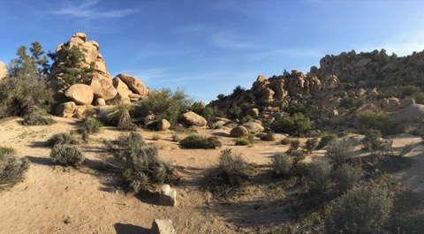 Hidden Valley Nature Trail — Joshua Tree National Park