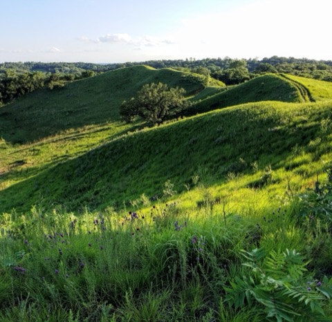 Hitchcock Nature Center — near Council Bluffs
